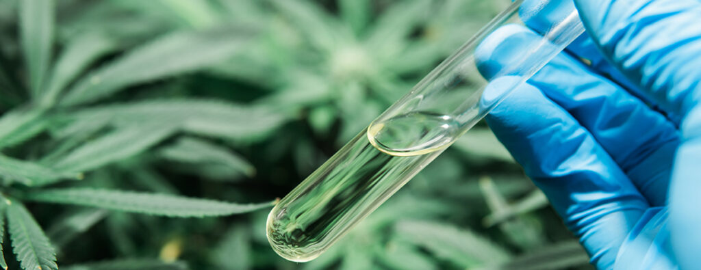 Closeup of gloved hand holding a vial of liquid with cannabis leaves in the background