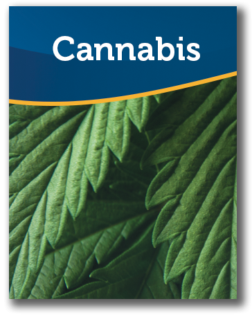 Cover of Cannabis Insurance Coverage Brochure Thumbnail